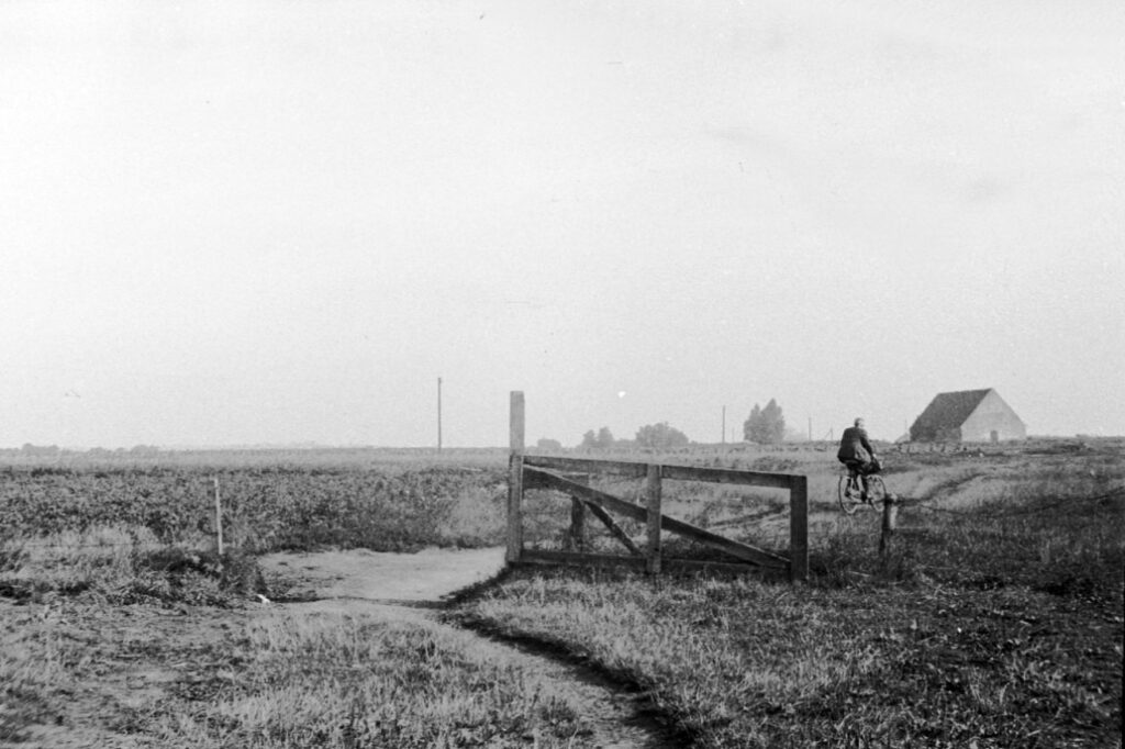 Nordstrand og Maglebylille - Dines Bog
