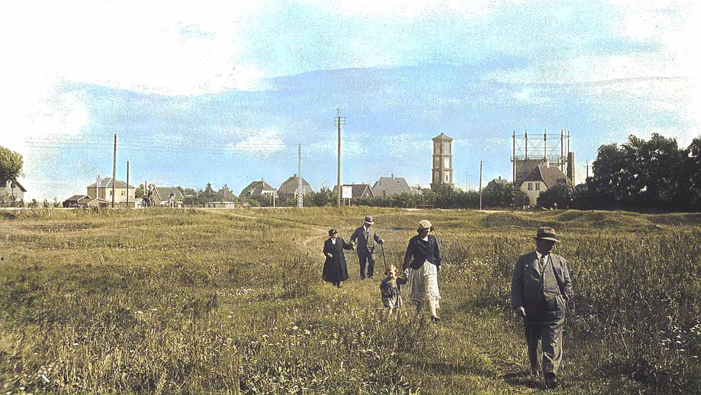 Dines Bogø
